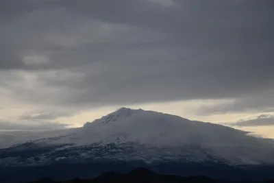 DSC_2618 (Large).JPG